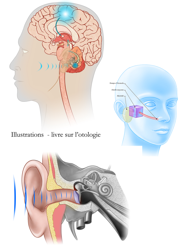 Illustrations médicales